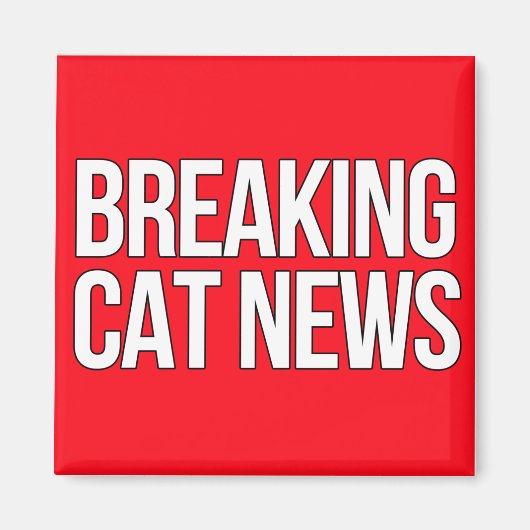Breaking Cat Newsマグネット マグネット (正面)