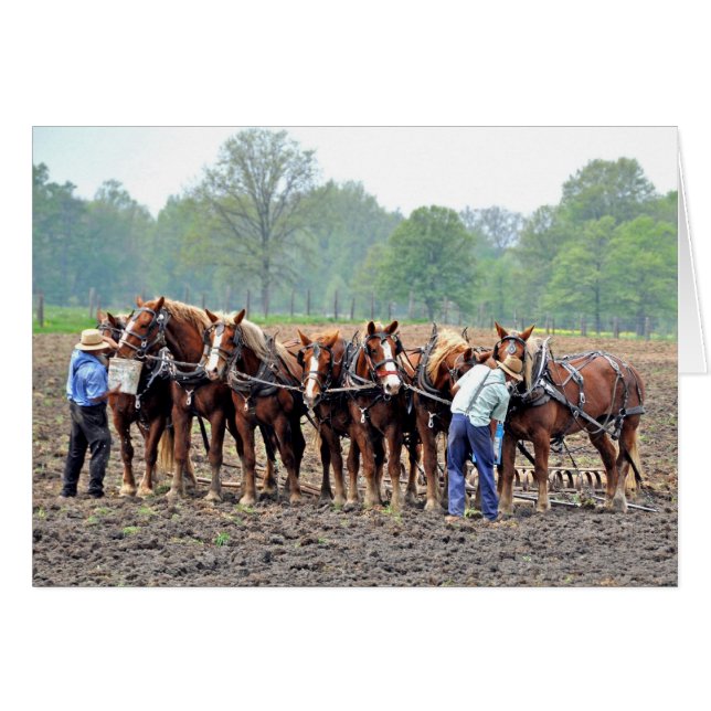 Breaktime (正面横)