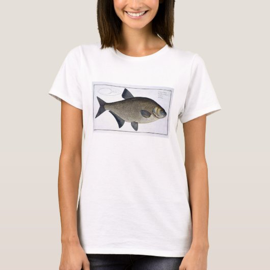 Bream (Cyprinus Brama)プレートXIII from 'Ichtyolog Tシャツ (正面)