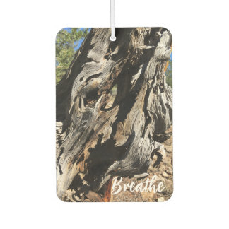 Breathe Unique Trees Woodland Nature Lover カーエアーフレッシュナー