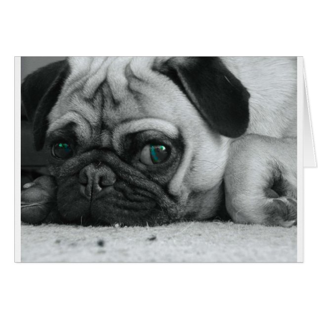 breena pic (正面横)