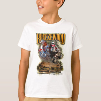 Breezewoodの服装 Tシャツ