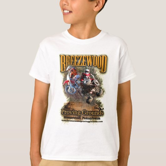 Breezewoodの服装 Tシャツ (正面)