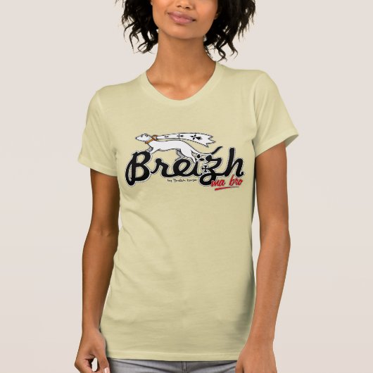 Breizh ma bro tシャツ (正面)