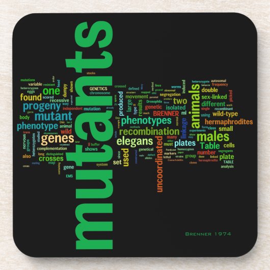 brenner74c コースター (正面)