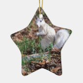 Brevardの白いリス セラミックオーナメント (左)