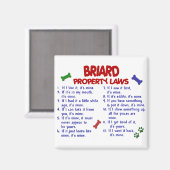 BRIARD財産法2 マグネット (正面/裏面)