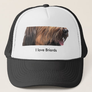 Briard キャップ