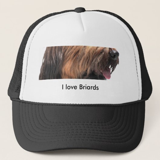 Briard キャップ (正面)