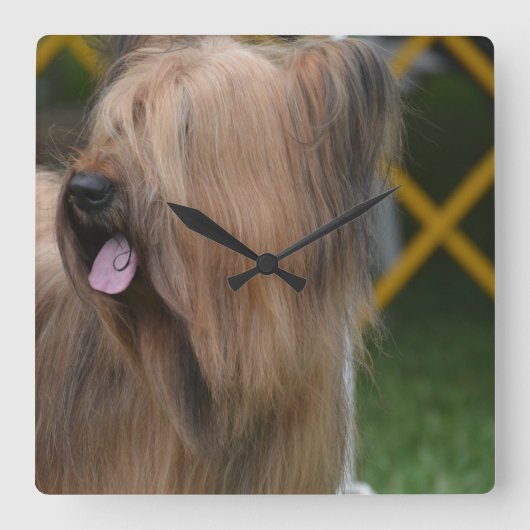 Briard スクエア壁時計 (正面)