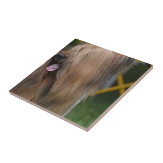 Briard タイル (側面)