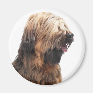 Briard fauve 3 マグネット