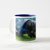 Briard Tasse ツートーンマグカップ (正面左)