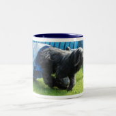 Briard Tasse ツートーンマグカップ (中央)
