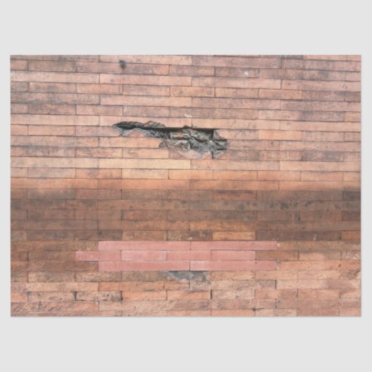 Brick in the Wall  薄葉紙 (正面)