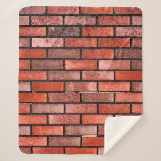 Brick wall with red brick, red brick background. b シェルパブランケット (正面)