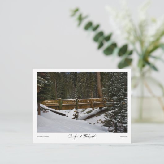 Bridge at Wuksachiはがき ポストカード (スタンド正面)