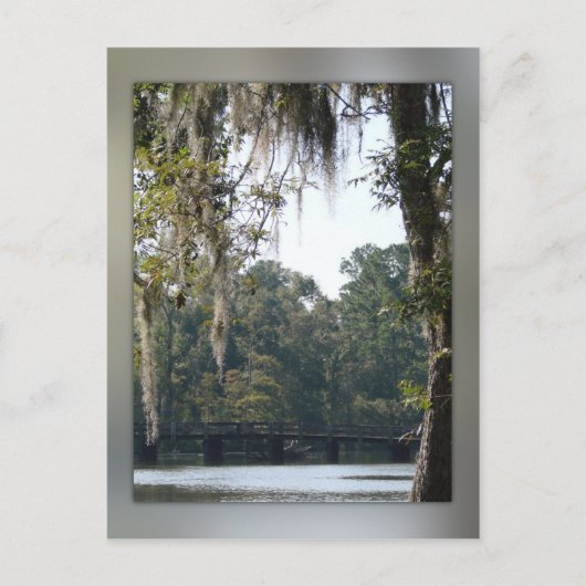 Bridge in the Swampsポストカード ポストカード (正面)