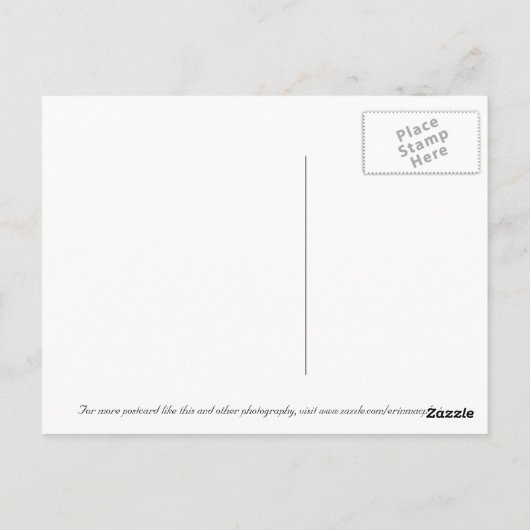 Bridge To Nowhereはがき ポストカード (裏面)