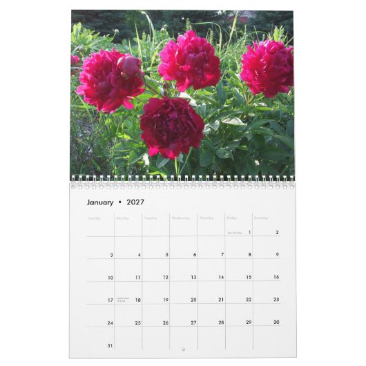 Bridgewaterはシャクヤク2015のカレンダーの花庭いじりをします カレンダー (1月 2027)