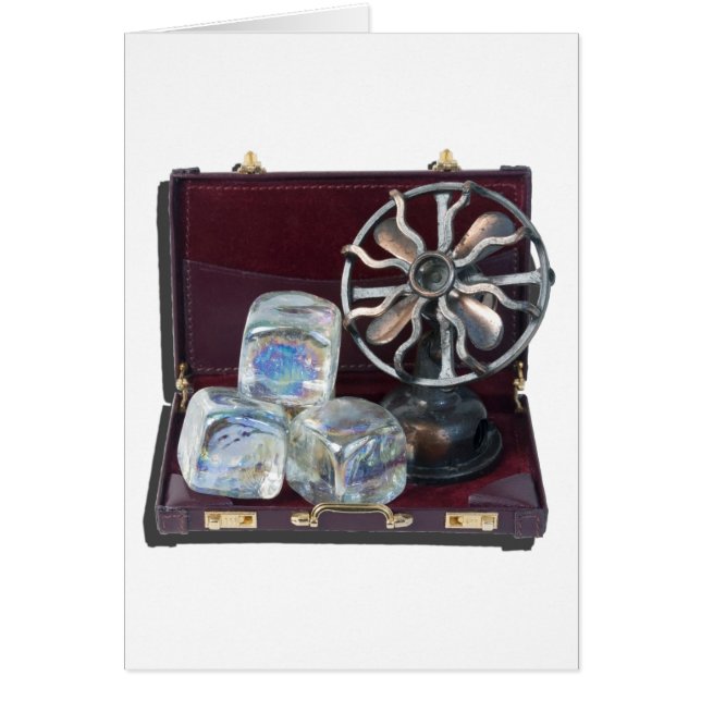 BriefcaseIceCubesFan081914.png (正面)