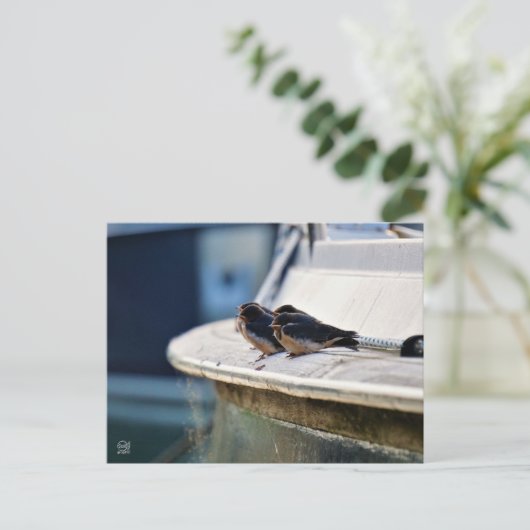 Briefkaart ポストカード (スタンド正面)