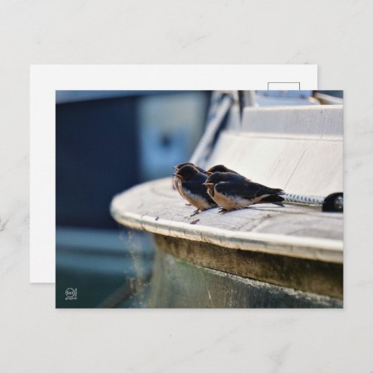 Briefkaart ポストカード (正面/裏面)