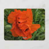 Bright and Cheerful Invitation 招待状 (裏面)