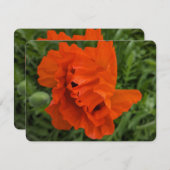 Bright and Cheerful Invitation 招待状 (正面/裏面)