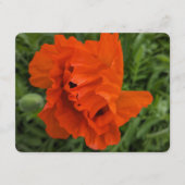 Bright and Cheerful Invitation 招待状 (正面)