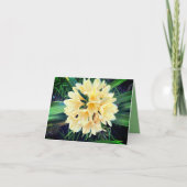 Bright Blooms Card  カード (正面)