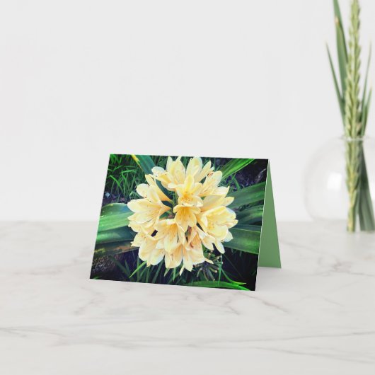 Bright Blooms Card  カード (正面)