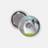 Bright Cat メリー Kitten Christmas写真名 マグネット (正面/裏面)