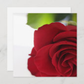 Bright Colors Red Rose Your Text Flat Card (正面/裏面)
