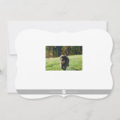 Bright Future Photo with Back Photo (裏面)