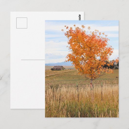 Bright October  ポストカード (正面/裏面)