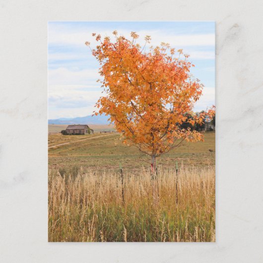 Bright October  ポストカード (正面)