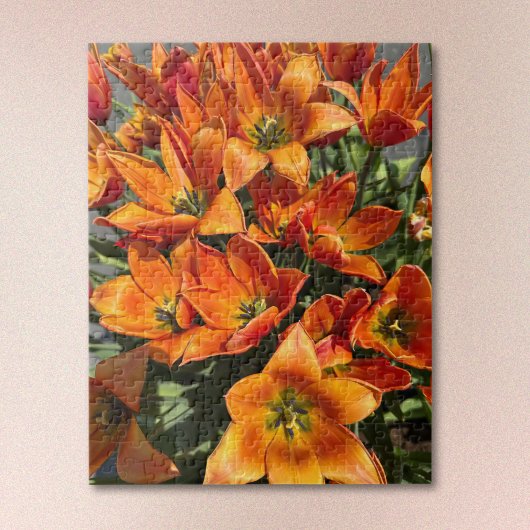 Bright Orange Calypso Tulip Jigsaw Puzzle ジグソーパズル