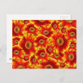Bright Orange Flowers ポストカード (正面/裏面)