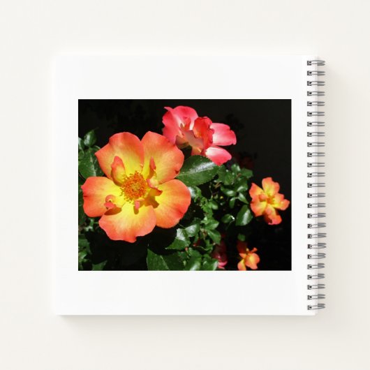 Bright Orange Roses - Dark Aspect Spiral Notebook ノートブック (裏面)