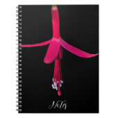 Bright Pink Fuchsia Flower on Black ノートブック (正面)