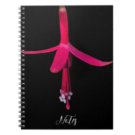 Bright Pink Fuchsia Flower on Black ノートブック