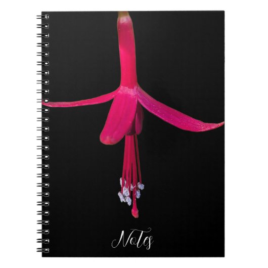 Bright Pink Fuchsia Flower on Black ノートブック (正面)