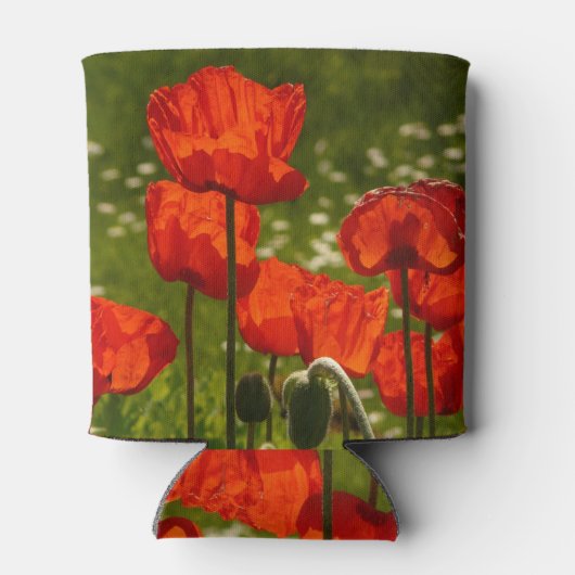 Bright Poppies Close Up Photo 缶クーラー (裏面)