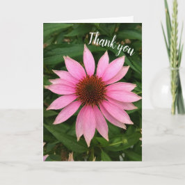 Bright Purple Coneflower Thank You Card サンキューカード