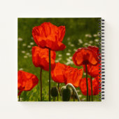Bright Red Poppy Field ノートブック (裏面)