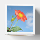 Bright Red Strawberry Blossom Flower フェイバーボックス (上部)