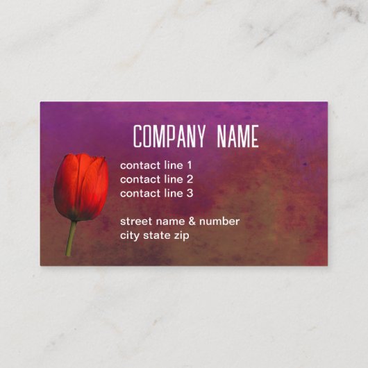  bright red tulip flower art on purple and rust 名刺 (裏面)