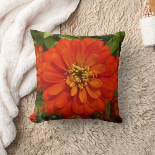 Bright Red Zinnia Trend  クッション (ブランケット)