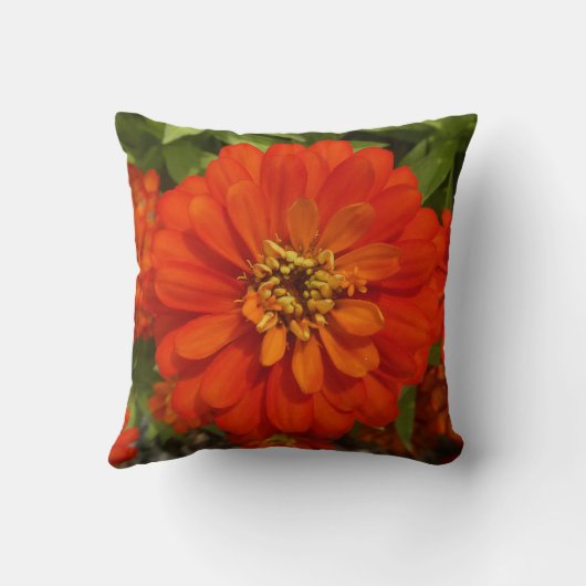 Bright Red Zinnia Trend  クッション (裏面)